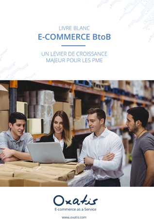 Livre Blanc e-Commerce BtoB