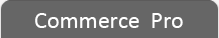 Cr&eacute;er votre site marchand