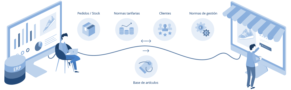 Integracin ERP / Tienda Online