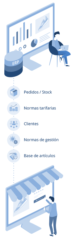 Integracin ERP y Tienda Online